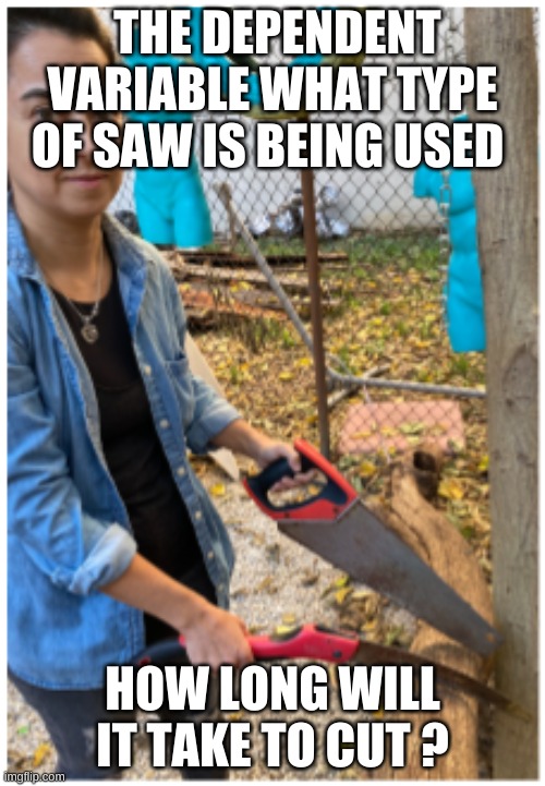What Johnson Saw | THE DEPENDENT VARIABLE WHAT TYPE OF SAW IS BEING USED; HOW LONG WILL IT TAKE TO CUT ? | image tagged in what johnson saw | made w/ Imgflip meme maker