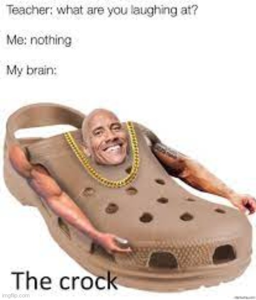 the crock | image tagged in the rock,crocs,teacher me my brain | made w/ Imgflip meme maker