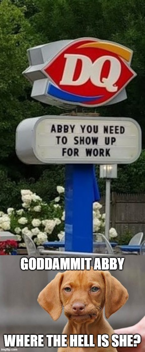 WHERE'S ABBY? | GODDAMMIT ABBY; WHERE THE HELL IS SHE? | image tagged in dissapointed puppy,dq,funny signs | made w/ Imgflip meme maker