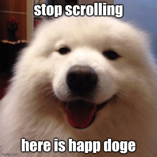 hab a good day |  stop scrolling; here is happ doge | image tagged in happy doge | made w/ Imgflip meme maker