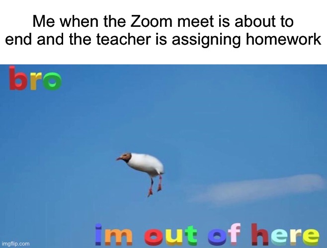 How is the bird floating? | Me when the Zoom meet is about to end and the teacher is assigning homework | made w/ Imgflip meme maker