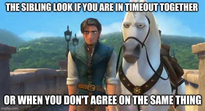 Only siblings understand this | THE SIBLING LOOK IF YOU ARE IN TIMEOUT TOGETHER; OR WHEN YOU DON'T AGREE ON THE SAME THING | image tagged in tangled siblings | made w/ Imgflip meme maker