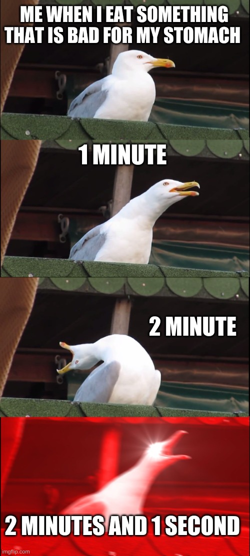 Inhaling Seagull | ME WHEN I EAT SOMETHING THAT IS BAD FOR MY STOMACH; 1 MINUTE; 2 MINUTE; 2 MINUTES AND 1 SECOND | image tagged in memes,inhaling seagull | made w/ Imgflip meme maker