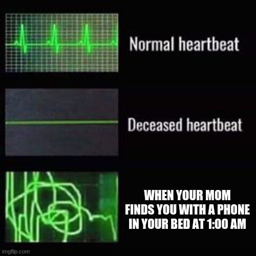 -_- | WHEN YOUR MOM FINDS YOU WITH A PHONE IN YOUR BED AT 1:00 AM | image tagged in heartbeat rate | made w/ Imgflip meme maker