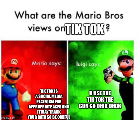 This is a remake of a previous one I made (hope u have a pleasant evening) | TIK TOK; TIK TOK IS A SOCIAL MEDIA PLATFORM FOR APPROPRIATE AGES AND IT MAY TRACK YOUR DATA SO BE CARFUL; U USE THE TIK TOK THE GUN GO CHIK CHOK | image tagged in mario brothers veiws | made w/ Imgflip meme maker