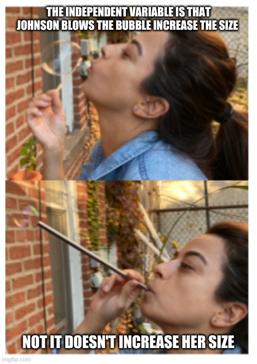 What Johnson Bubbled | THE INDEPENDENT VARIABLE IS THAT JOHNSON BLOWS THE BUBBLE INCREASE THE SIZE; NOT IT DOESN'T INCREASE HER SIZE | image tagged in what johnson bubbled | made w/ Imgflip meme maker