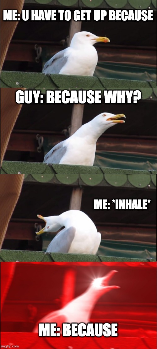 *inhale* because | ME: U HAVE TO GET UP BECAUSE; GUY: BECAUSE WHY? ME: *INHALE*; ME: BECAUSE | image tagged in memes,inhaling seagull | made w/ Imgflip meme maker