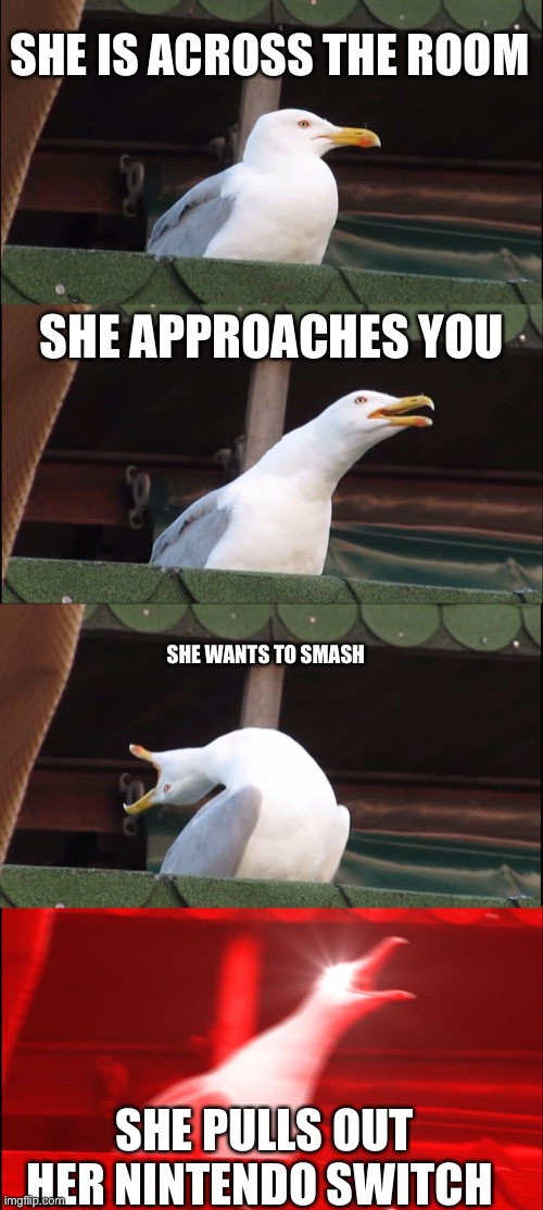 Inhaling Seagull Meme | SHE IS ACROSS THE ROOM; SHE APPROACHES YOU; SHE WANTS TO SMASH; SHE PULLS OUT HER NINTENDO SWITCH | image tagged in memes,inhaling seagull | made w/ Imgflip meme maker