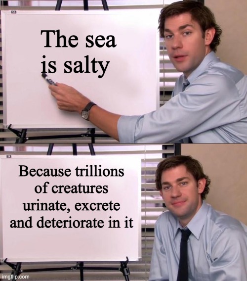 Jim Halpert Explains | The sea is salty; Because trillions of creatures urinate, excrete and deteriorate in it | image tagged in jim halpert explains,sea | made w/ Imgflip meme maker