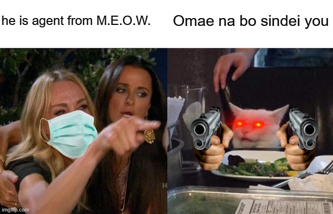 Agent 003 | Omae na bo sindei you; he is agent from M.E.O.W. | image tagged in memes,woman yelling at cat | made w/ Imgflip meme maker