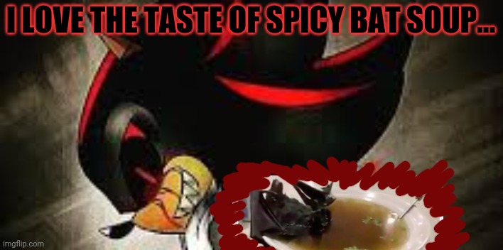 I LOVE THE TASTE OF SPICY BAT SOUP... | made w/ Imgflip meme maker