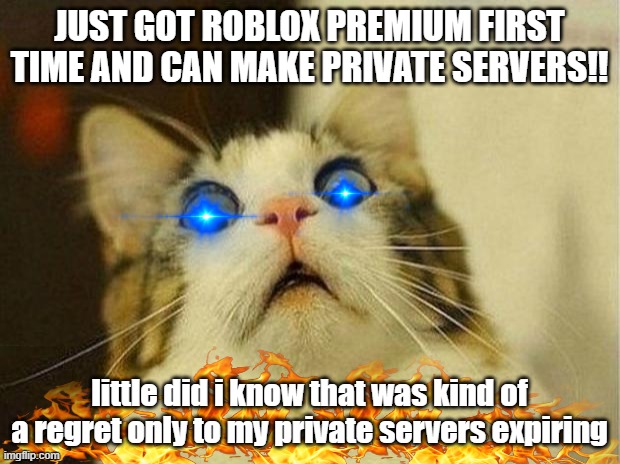 Scared Cat Meme | JUST GOT ROBLOX PREMIUM FIRST TIME AND CAN MAKE PRIVATE SERVERS!! little did i know that was kind of a regret only to my private servers expiring | image tagged in memes,scared cat | made w/ Imgflip meme maker