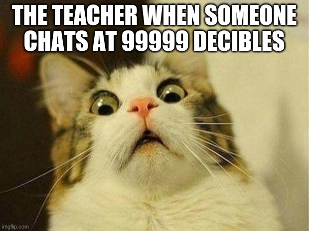 OW MY EARS | THE TEACHER WHEN SOMEONE CHATS AT 99999 DECIBLES | image tagged in memes,scared cat | made w/ Imgflip meme maker