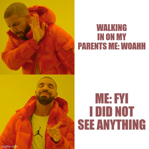 GONE WRONG!!! | WALKING IN ON MY PARENTS ME: WOAHH; ME: FYI I DID NOT SEE ANYTHING | image tagged in memes,drake hotline bling | made w/ Imgflip meme maker