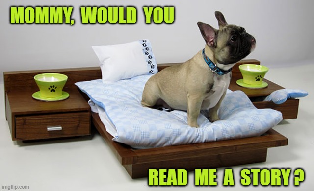Bedtime for Bongo | MOMMY,  WOULD  YOU; READ  ME  A  STORY ? | image tagged in dogs,bedtime story,spoiled,cute puppy | made w/ Imgflip meme maker