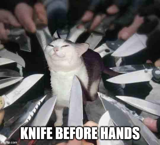 Knife Cat | KNIFE BEFORE HANDS | image tagged in knife cat | made w/ Imgflip meme maker