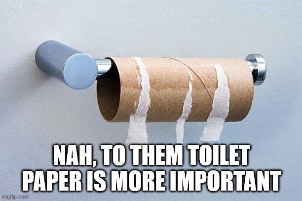 No More Toilet Paper | NAH, TO THEM TOILET PAPER IS MORE IMPORTANT | image tagged in no more toilet paper | made w/ Imgflip meme maker