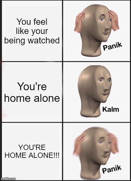 Look behind you. | You feel like your being watched; You're home alone; YOU'RE HOME ALONE!!! | image tagged in memes,panik kalm panik | made w/ Imgflip meme maker