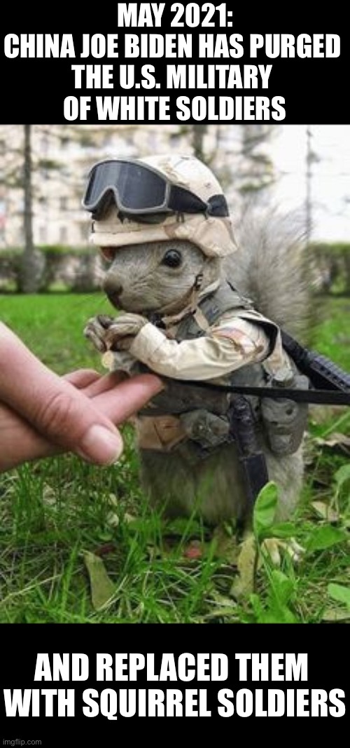 Meet the Biden regime’s squirrel soldiers! I’m not kidding! Just look at the photo! | MAY 2021:
CHINA JOE BIDEN HAS PURGED 
THE U.S. MILITARY 
OF WHITE SOLDIERS; AND REPLACED THEM 
WITH SQUIRREL SOLDIERS | image tagged in joe biden,biden,democrat party,democratic socialism,woke,communists | made w/ Imgflip meme maker