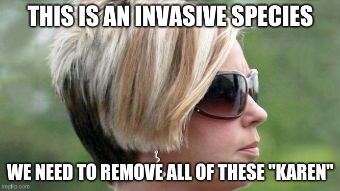 Karen | THIS IS AN INVASIVE SPECIES; WE NEED TO REMOVE ALL OF THESE "KAREN" | image tagged in karen | made w/ Imgflip meme maker