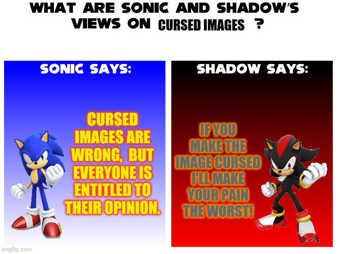 Sonic & Shadow's views | CURSED IMAGES; CURSED IMAGES ARE WRONG,  BUT EVERYONE IS ENTITLED TO THEIR OPINION. IF YOU MAKE THE IMAGE CURSED
I'LL MAKE YOUR PAIN THE WORST! | image tagged in mario bros views,sonic the hedgehog,cursed image,sonic says | made w/ Imgflip meme maker