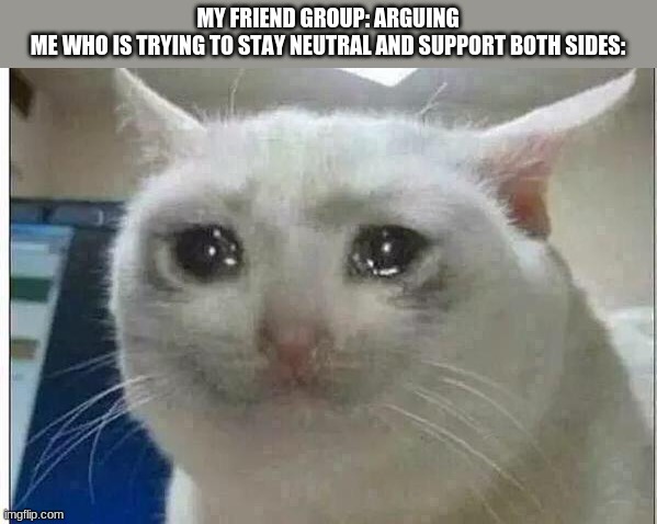 crying cat | MY FRIEND GROUP: ARGUING
ME WHO IS TRYING TO STAY NEUTRAL AND SUPPORT BOTH SIDES: | image tagged in crying cat | made w/ Imgflip meme maker