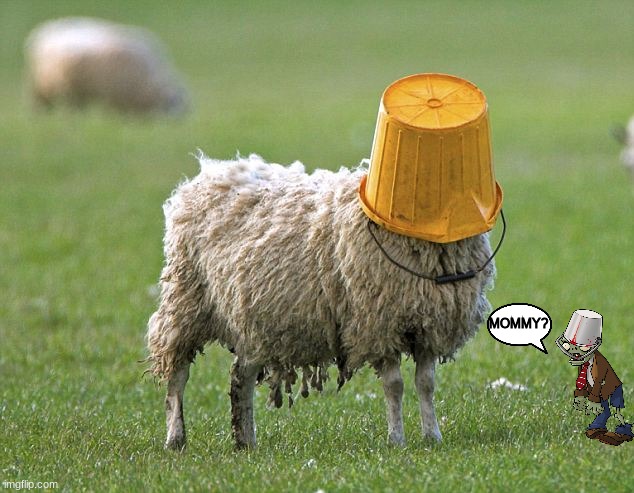 stupid sheep | MOMMY? | image tagged in stupid sheep | made w/ Imgflip meme maker