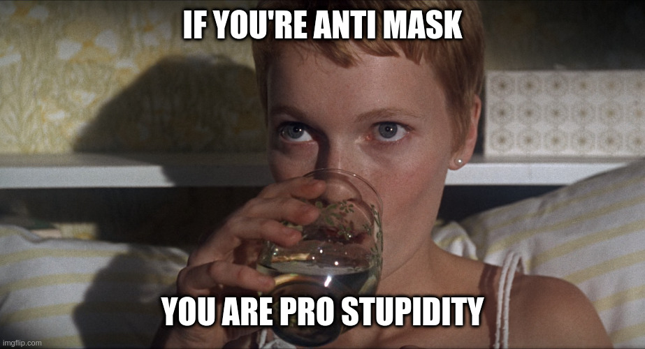 Rosemary | IF YOU'RE ANTI MASK; YOU ARE PRO STUPIDITY | image tagged in rosemary | made w/ Imgflip meme maker