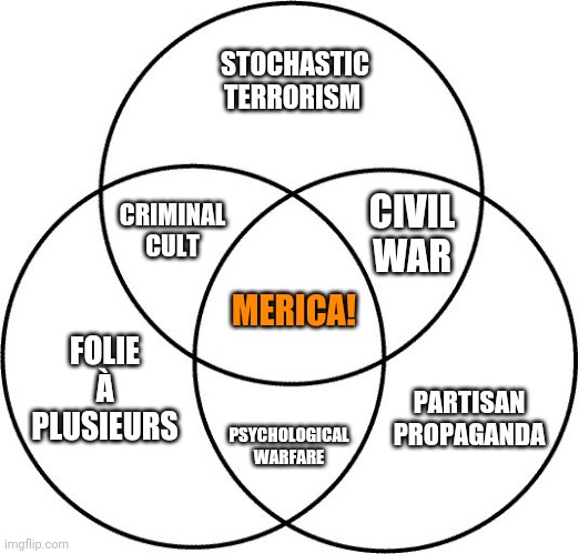 Venn diagram | STOCHASTIC TERRORISM CIVIL WAR FOLIE À PLUSIEURS PSYCHOLOGICAL WARFARE PARTISAN PROPAGANDA CRIMINAL CULT MERICA! | image tagged in venn diagram | made w/ Imgflip meme maker