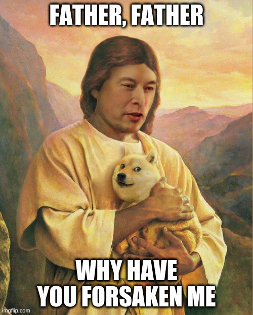 image tagged in doge,elon musk | made w/ Imgflip meme maker