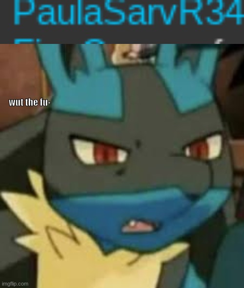 image tagged in lucario wtf | made w/ Imgflip meme maker