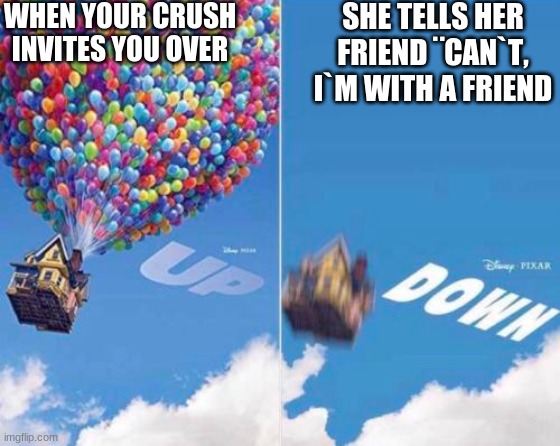 Up and Down | WHEN YOUR CRUSH INVITES YOU OVER; SHE TELLS HER FRIEND ¨CAN`T, I`M WITH A FRIEND | image tagged in up and down | made w/ Imgflip meme maker