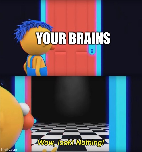 Wow, look! Nothing! | YOUR BRAINS | image tagged in wow look nothing | made w/ Imgflip meme maker