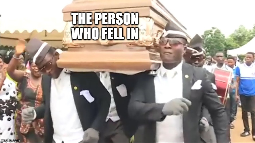 Coffin Dance | THE PERSON WHO FELL IN | image tagged in coffin dance | made w/ Imgflip meme maker