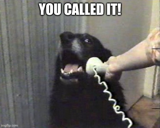 hello this is dog | YOU CALLED IT! | image tagged in hello this is dog | made w/ Imgflip meme maker