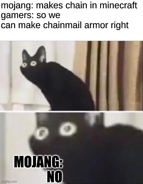 Oh No Black Cat | mojang: makes chain in minecraft
gamers: so we can make chainmail armor right; MOJANG: NO | image tagged in oh no black cat | made w/ Imgflip meme maker