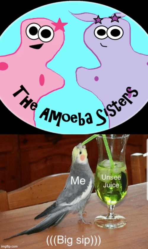 This isn't the Amoeba Sisters that you know. | image tagged in unsee juice | made w/ Imgflip meme maker