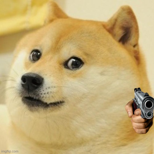 no | image tagged in memes,doge | made w/ Imgflip meme maker