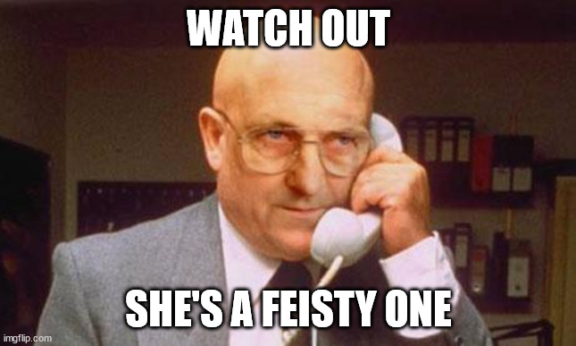 watch out | WATCH OUT; SHE'S A FEISTY ONE | image tagged in terry tibbs | made w/ Imgflip meme maker