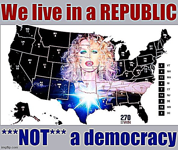 Kylie Minogue won no votes, is not even a U.S. citizen, and yet she is the current U.S. President. Explain that, libtards. | image tagged in republic,democracy,2020 elections,election 2020,electoral college,politics lol | made w/ Imgflip meme maker