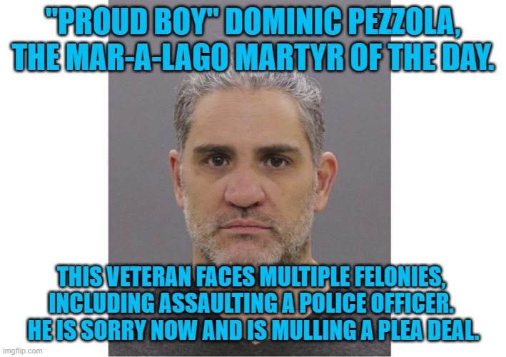 He Stood By For Trump.  What Did He Get?  Hard Time? | "PROUD BOY" DOMINIC PEZZOLA, THE MAR-A-LAGO MARTYR OF THE DAY. THIS VETERAN FACES MULTIPLE FELONIES, INCLUDING ASSAULTING A POLICE OFFICER.  HE IS SORRY NOW AND IS MULLING A PLEA DEAL. | image tagged in politics | made w/ Imgflip meme maker