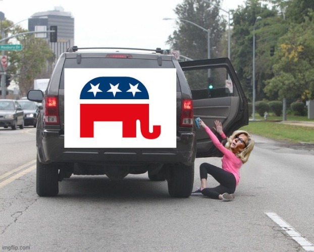 House Republicans dismiss RINO Liz Cheney... Good Riddance. | image tagged in liz cheney,rino,gop | made w/ Imgflip meme maker