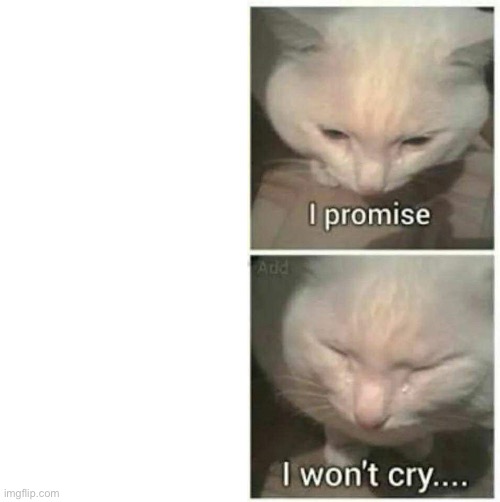 I promise I won't cry | image tagged in i promise i won't cry | made w/ Imgflip meme maker