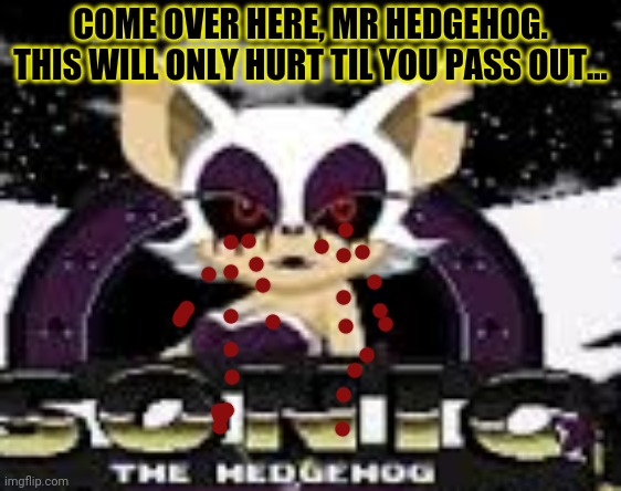 Rouge.exe needs food | COME OVER HERE, MR HEDGEHOG. THIS WILL ONLY HURT TIL YOU PASS OUT... | image tagged in rougeexe,sonic the hedgehog,cursed image,vampire,bat | made w/ Imgflip meme maker