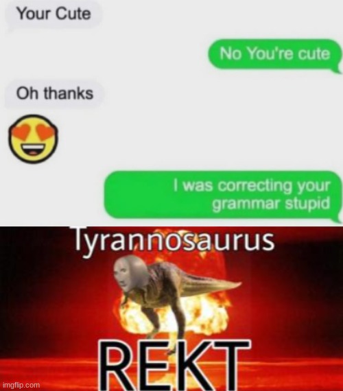 stupid | image tagged in tyrannosaurus rekt,funny,memes,funny memes,barney will eat all of your delectable biscuits,texting | made w/ Imgflip meme maker