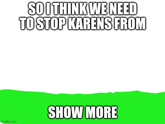 Blank White Template | SO I THINK WE NEED TO STOP KARENS FROM; SHOW MORE | image tagged in blank white template | made w/ Imgflip meme maker