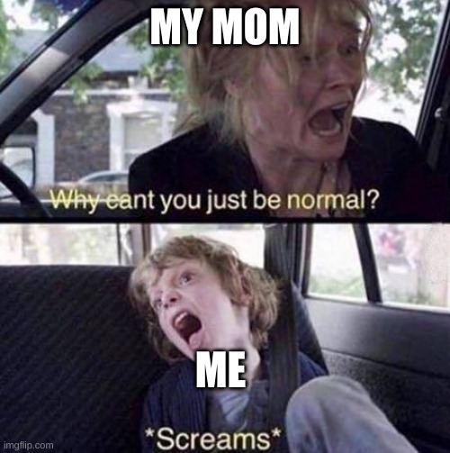 Why Can't You Just Be Normal | MY MOM; ME | image tagged in why can't you just be normal | made w/ Imgflip meme maker
