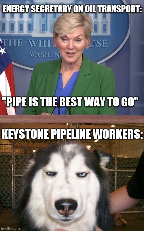 ENERGY SECRETARY ON OIL TRANSPORT:; "PIPE IS THE BEST WAY TO GO"; KEYSTONE PIPELINE WORKERS: | image tagged in seriously_husky,pipeline,biden,democrats | made w/ Imgflip meme maker