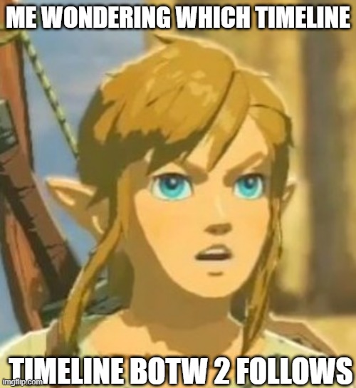 AOC or BOTW???? | ME WONDERING WHICH TIMELINE; TIMELINE BOTW 2 FOLLOWS | image tagged in offended link | made w/ Imgflip meme maker