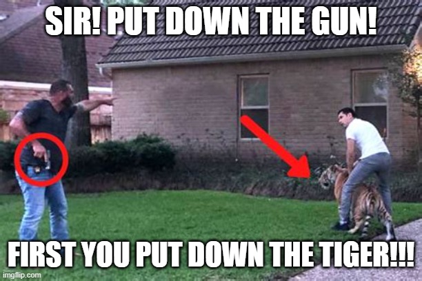 gun/tiger | SIR! PUT DOWN THE GUN! FIRST YOU PUT DOWN THE TIGER!!! | image tagged in tiger gun | made w/ Imgflip meme maker